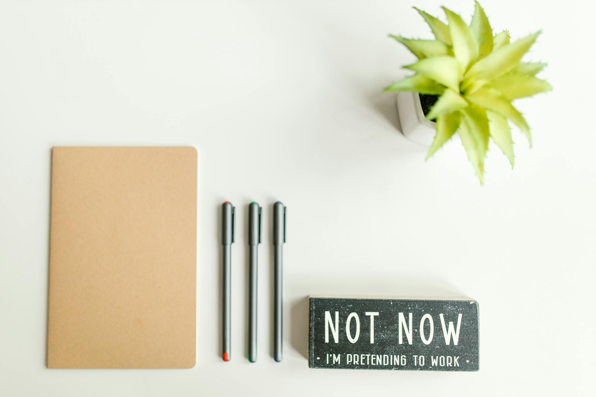 Organized flat lay of a notebook, pens, and a playful desk sign with a plant.